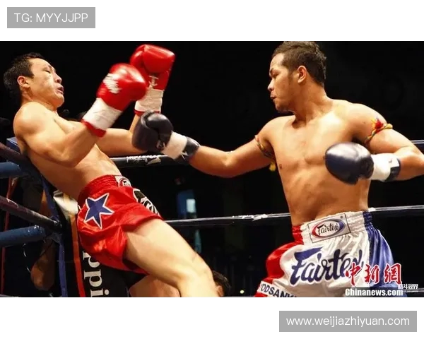 雅桑克莱与考的巅峰对决谁将成为拳坛新王者