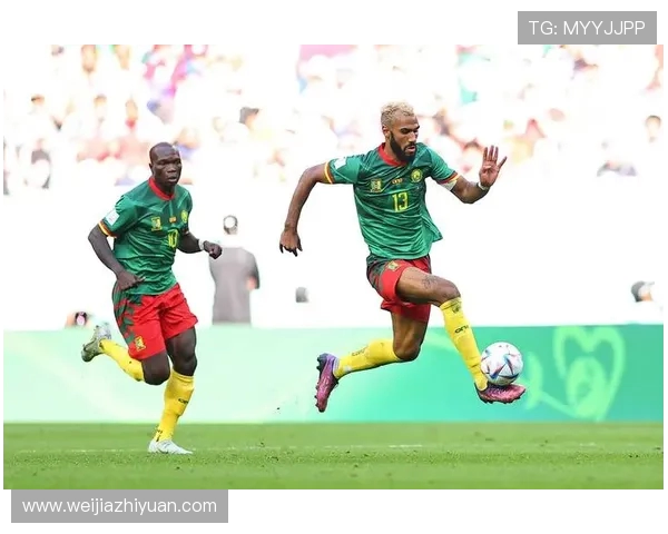 非洲杯精彩对决南非迎战喀麦隆谁能笑到最后